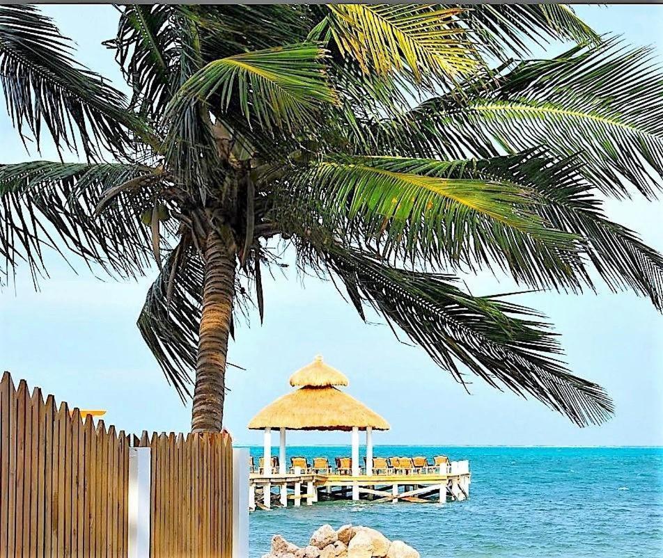 Velento Partial Ocean View #8 Villa Caye Caulker Dış mekan fotoğraf